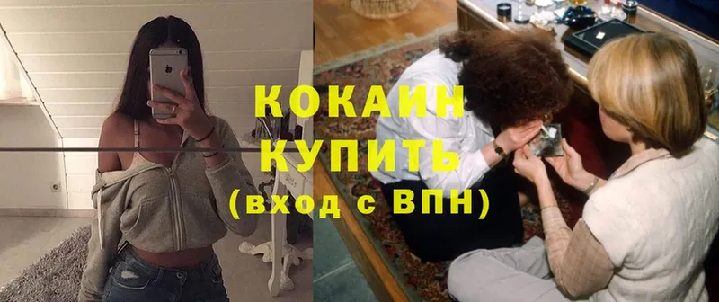 купить   Волжск  Cocaine Эквадор 